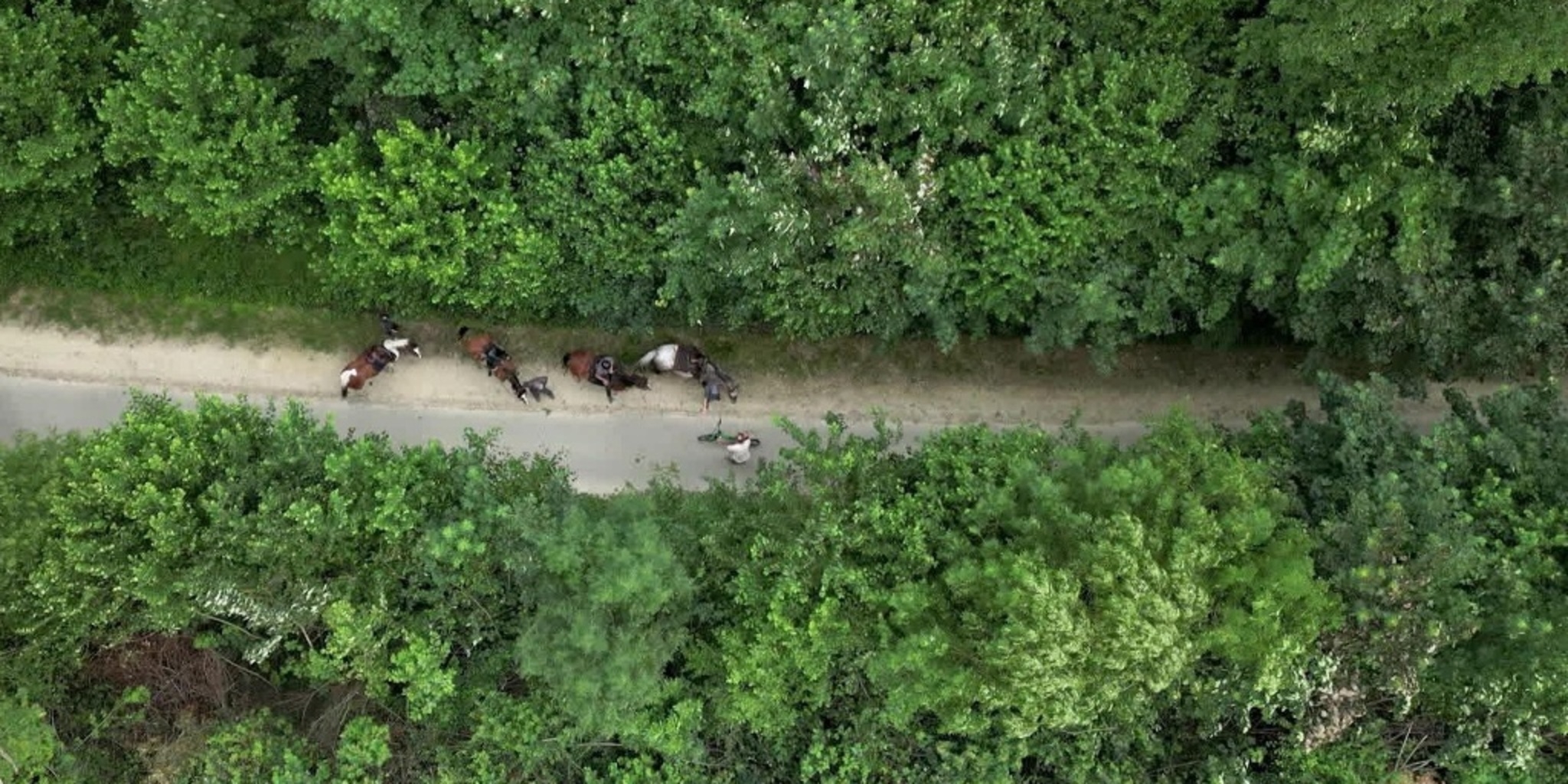 Le beau vélo de RAVeL