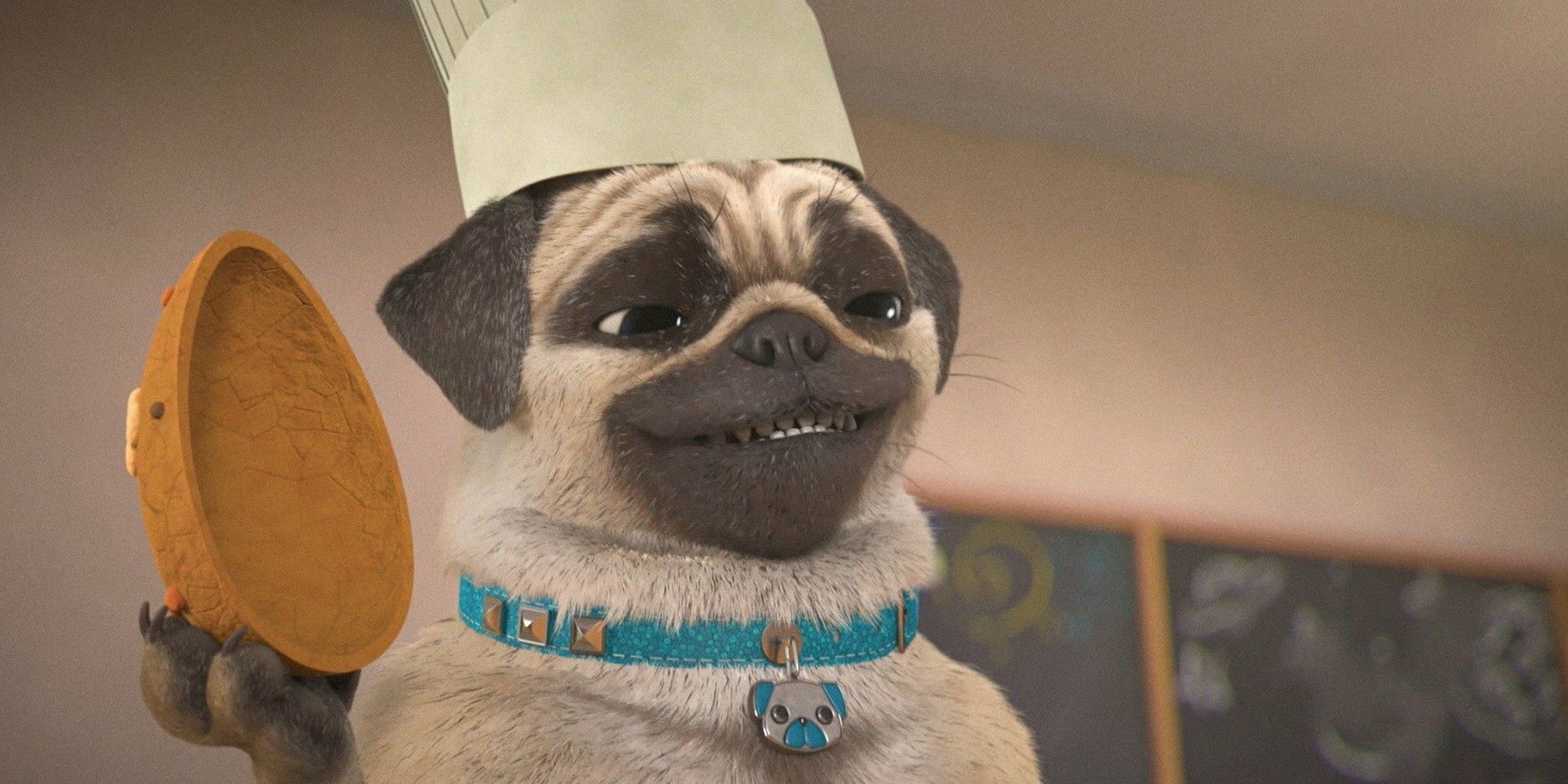 Mike, une vie de chien! — ICI Radio Canada Télé Ottawa-Gatineau 13:51