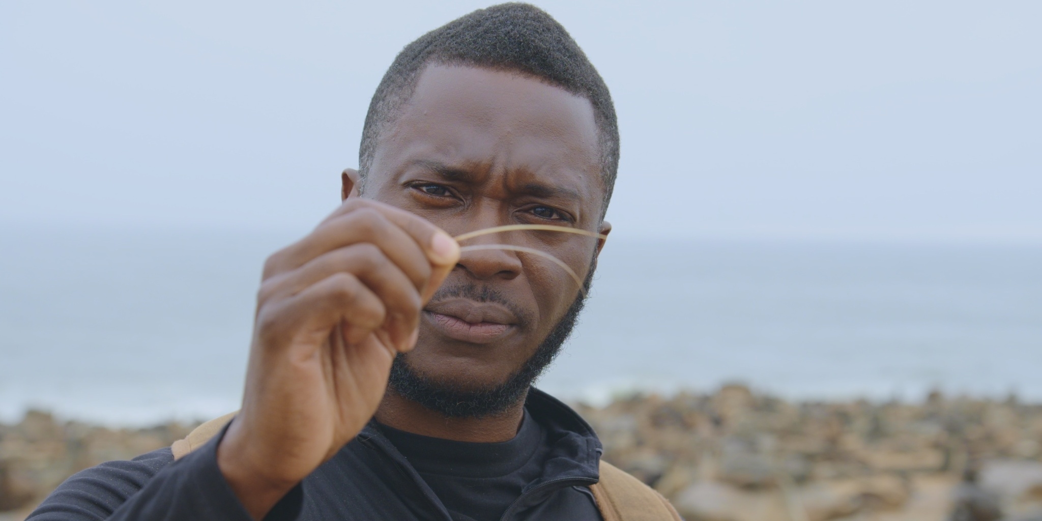 Les secrets de l'évolution — ICI Explora 20:00