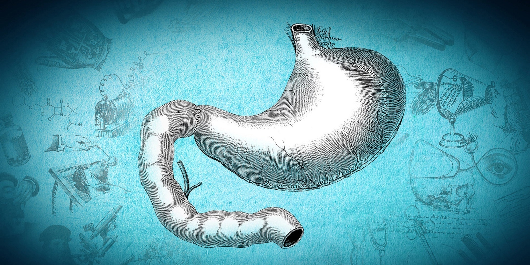 De la scie au bistouri — Canal Savoir 02:30