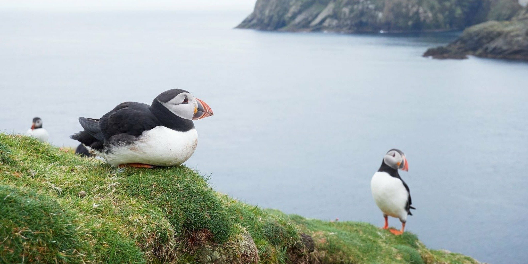 Terres sauvages du Nord