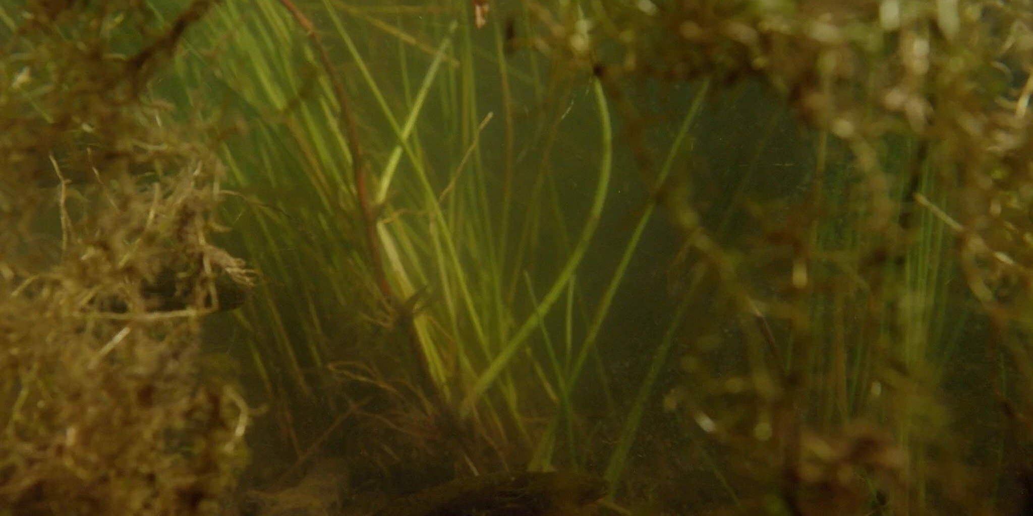 Canada, vivre avec les forces de la nature