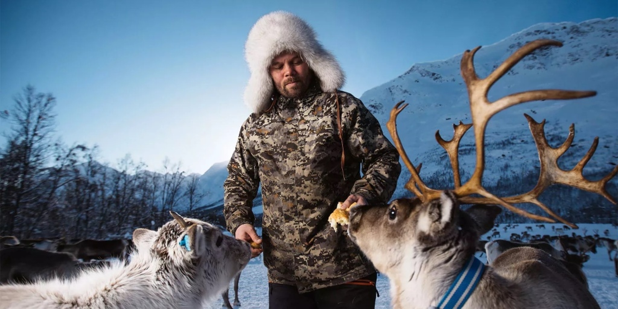 Espèces en voie d'adaptation