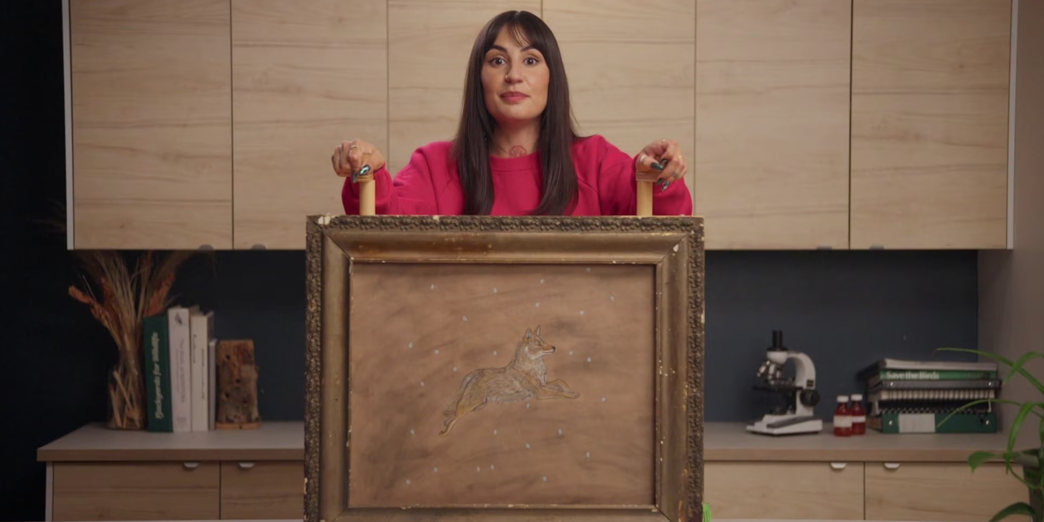 Manaachihtow: à la rescousse des animaux sauvages