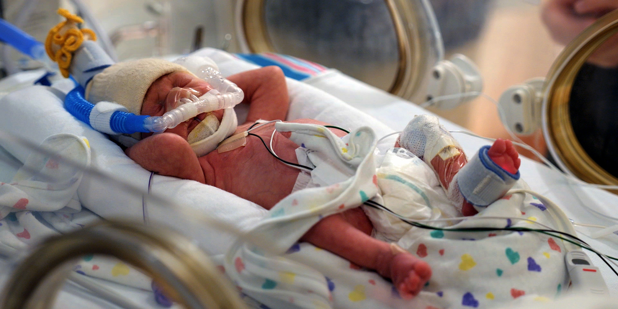 Naissances du futur — Canal Savoir 19:00