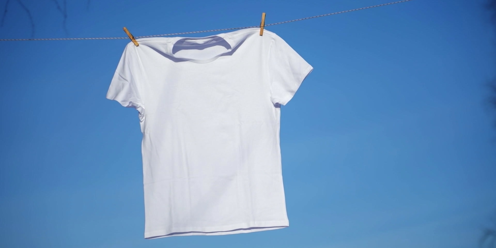 La vie secrète — ICI Explora 19:00