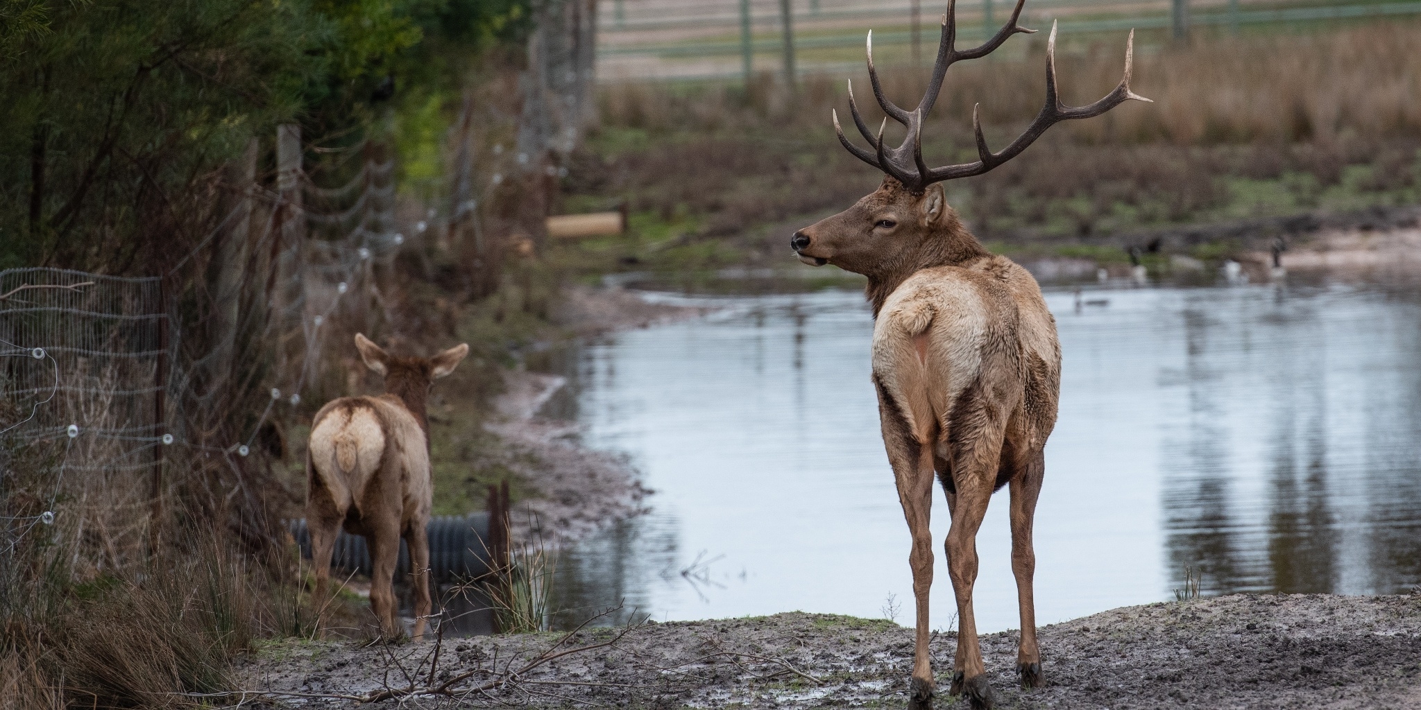 Roadhunt: chasse et aventures