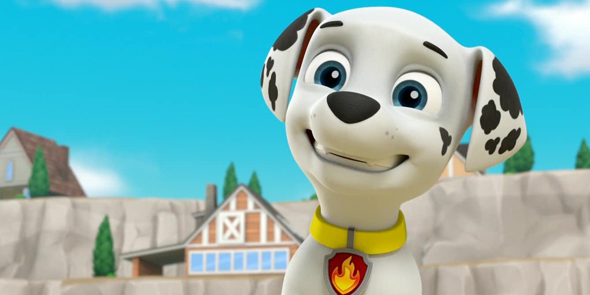 La Pat' Patrouille: histoires de chiots