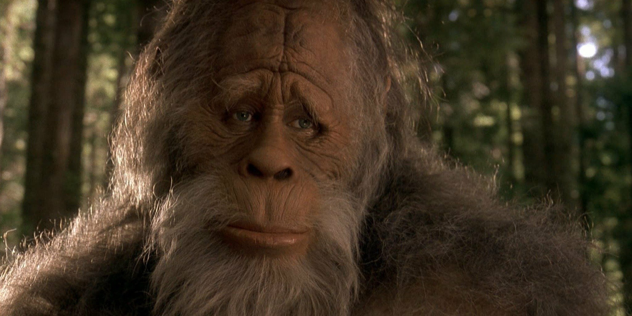 Harry et les Henderson — prise2 17:00