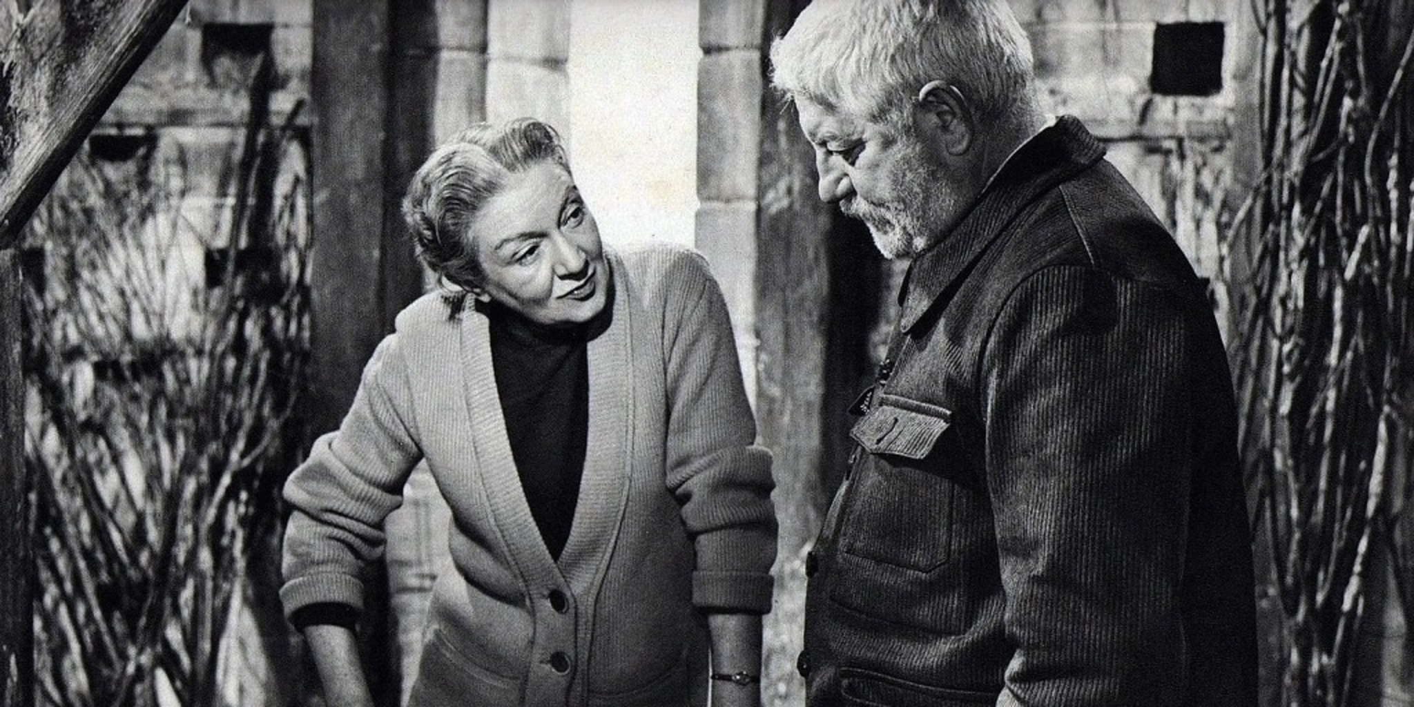 Les vieux de la vieille — TFO 03:00