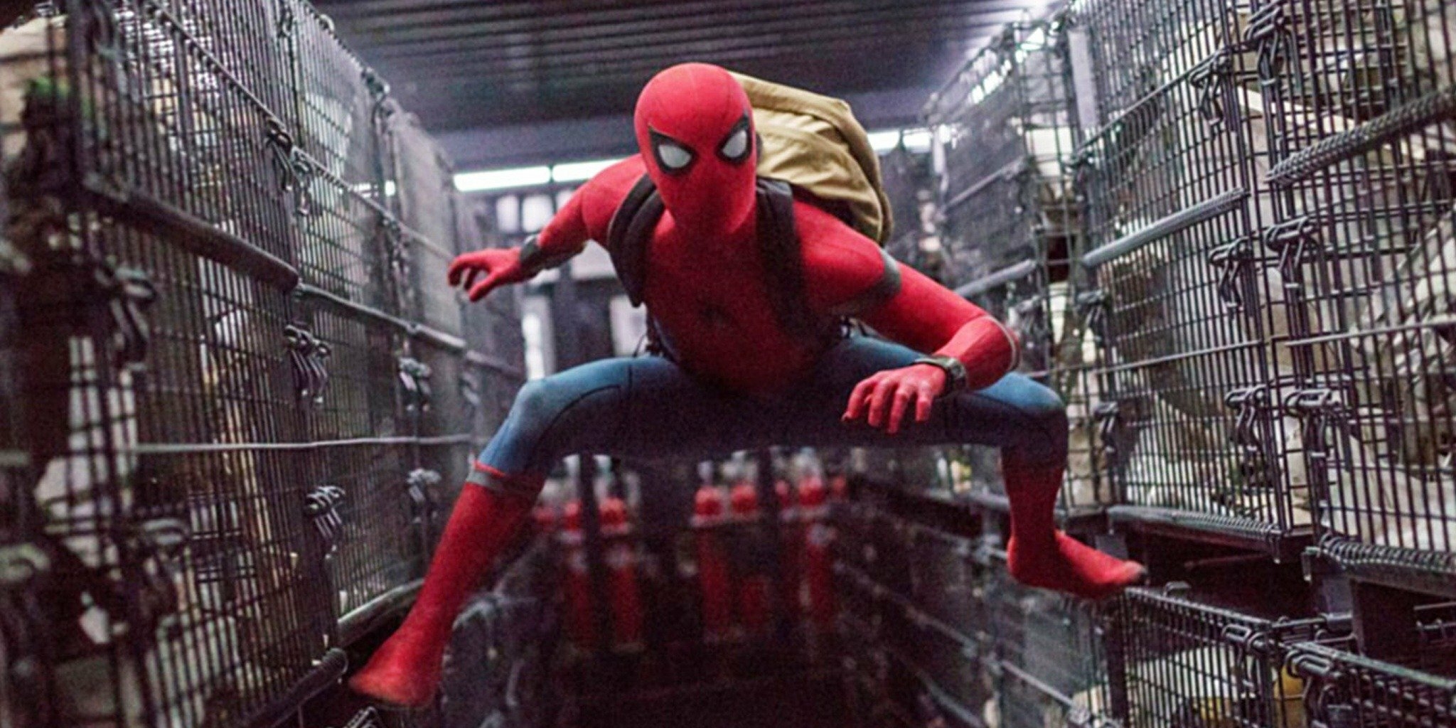 Spider-Man: les retrouvailles