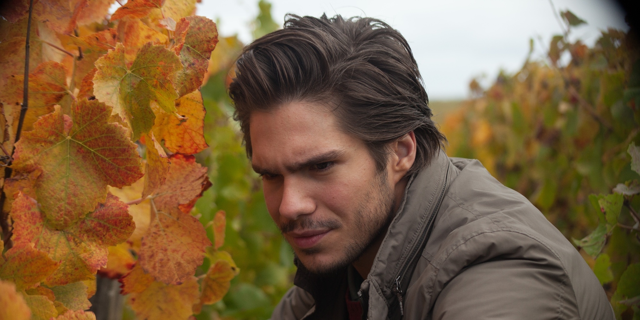 Retour en Bourgogne — TFO 04:35