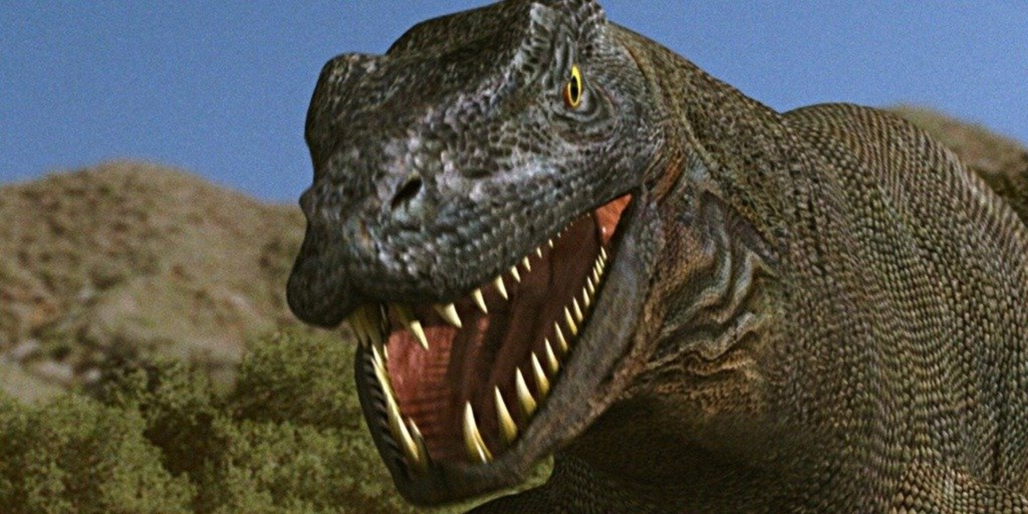 L'île des komodos — Frissons TV 04:35