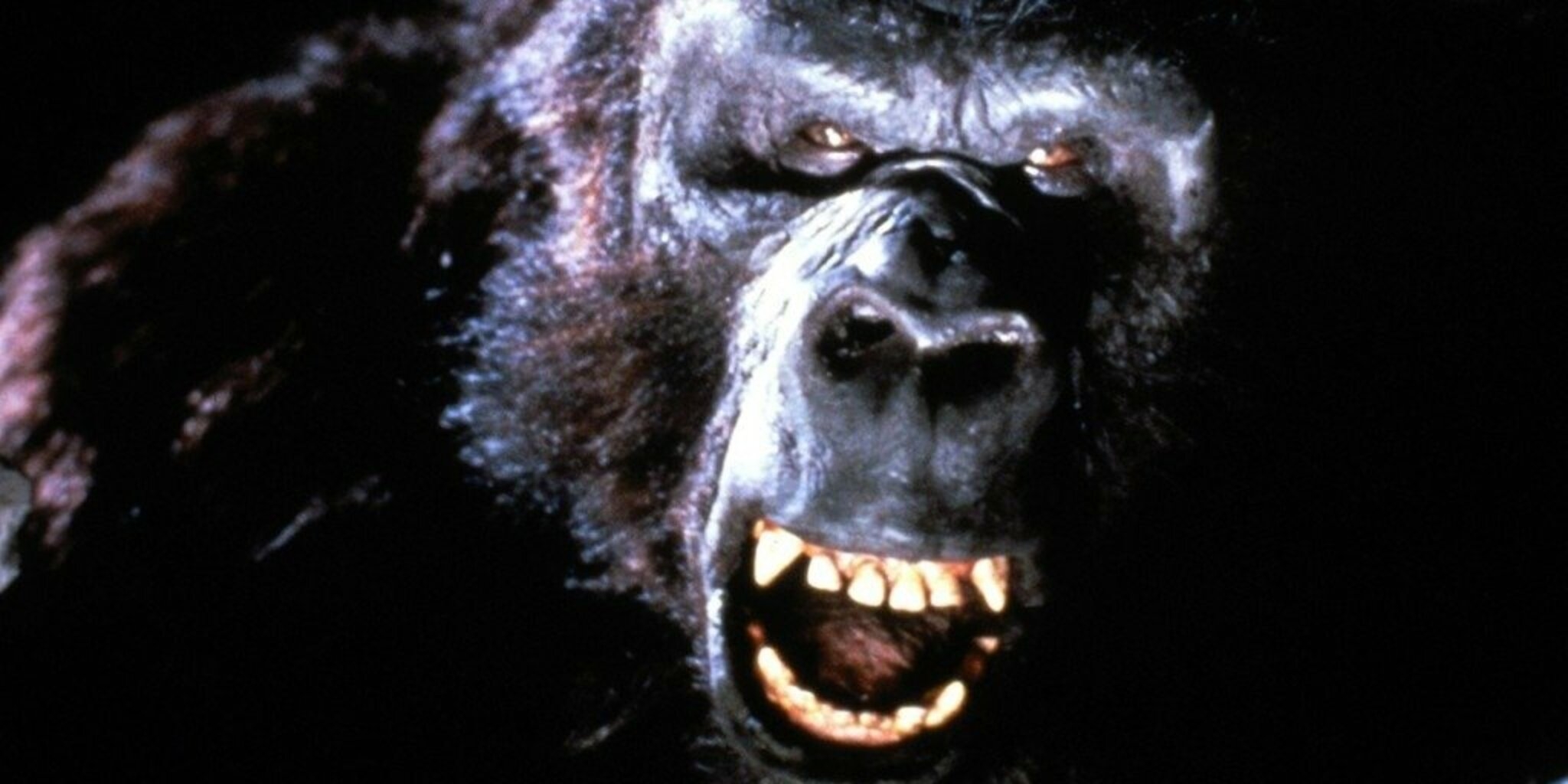King Kong II — Frissons TV 02:45