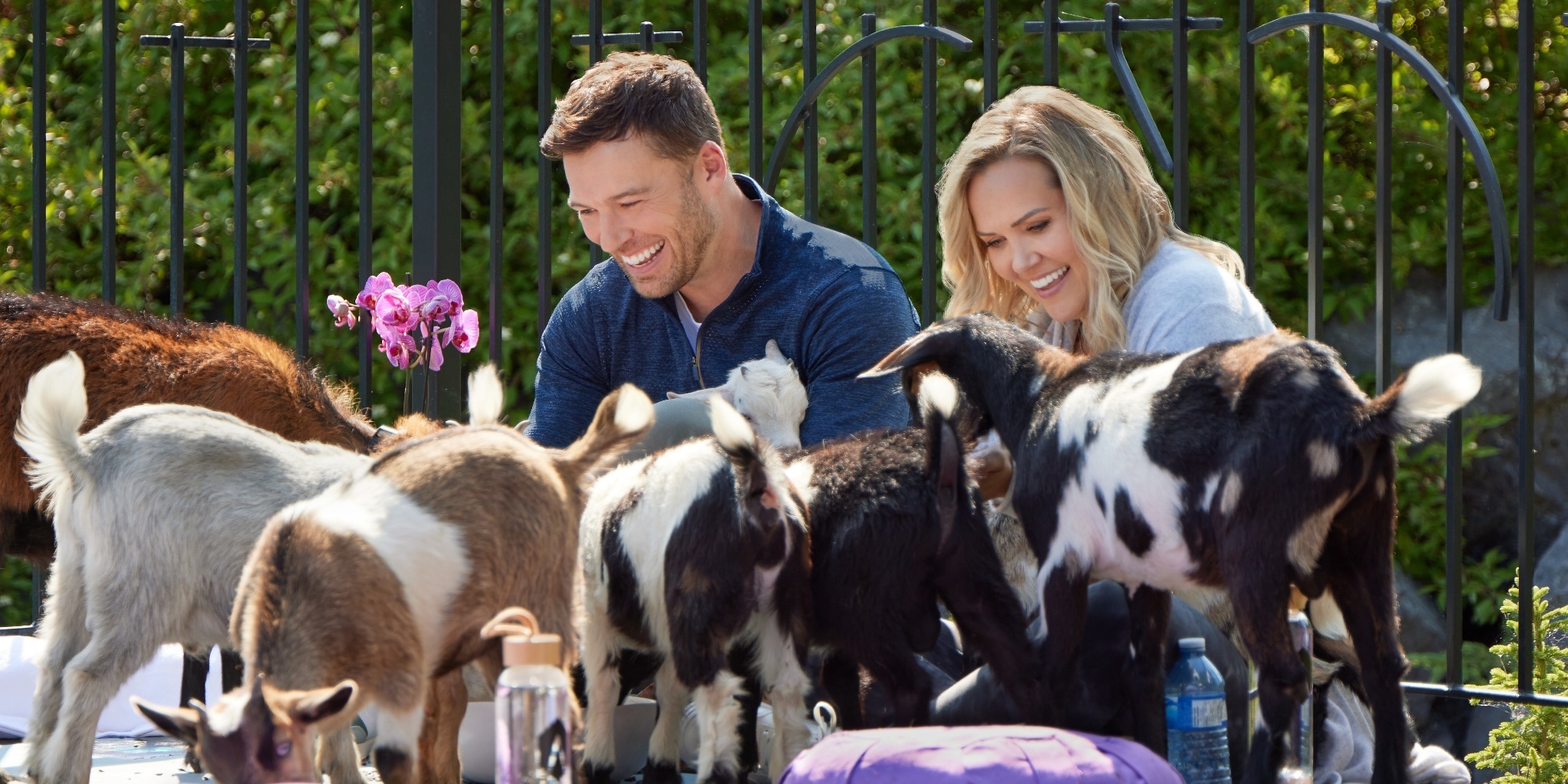 Guide de survie à deux — Canal Vie 21:00