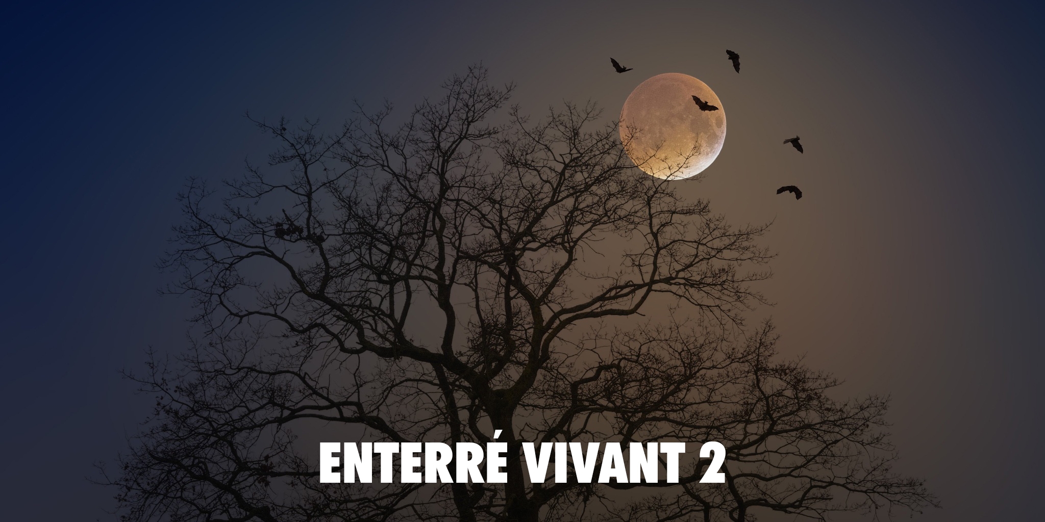 Enterré vivant 2 — Frissons TV 10:27