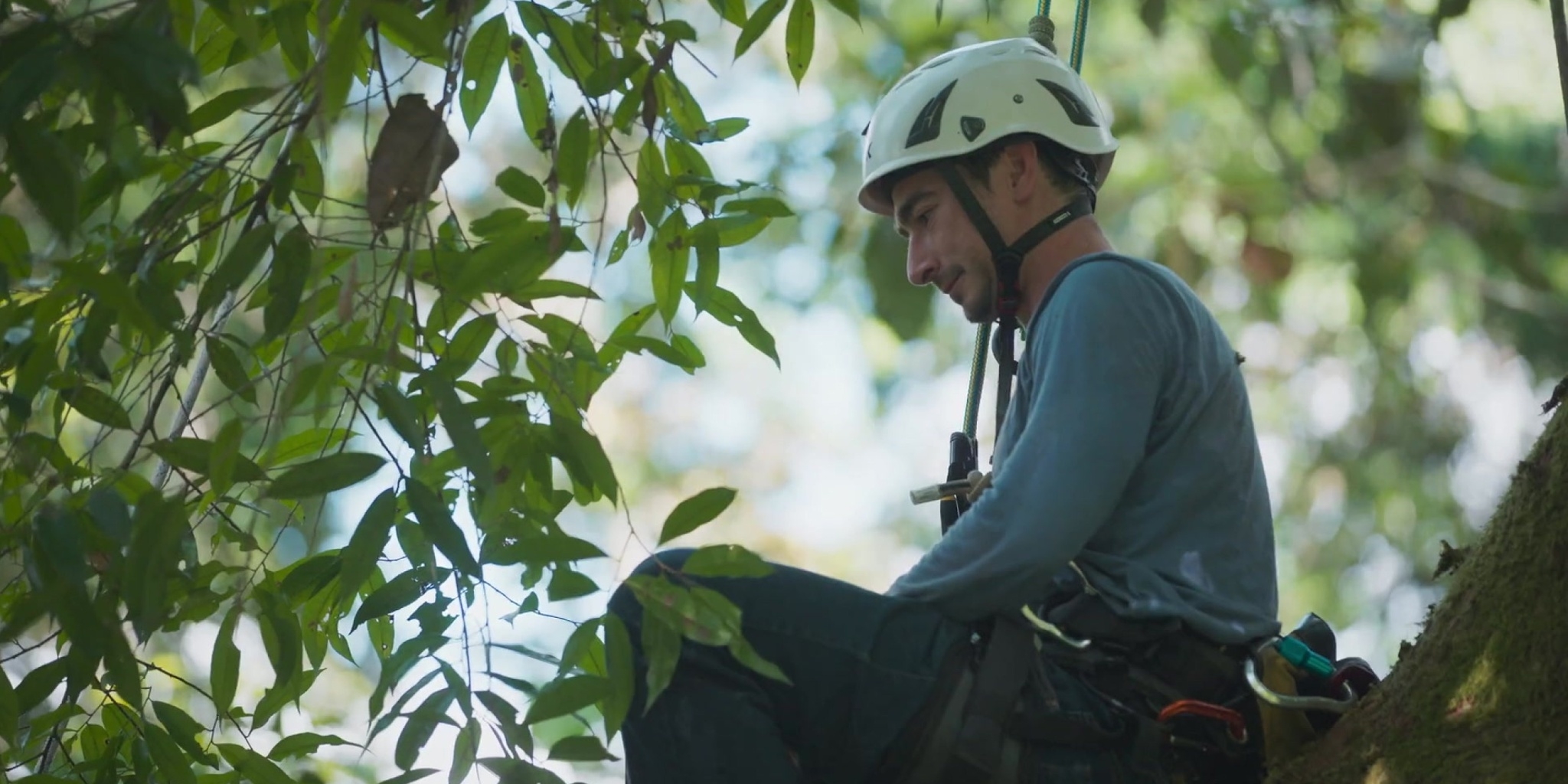 Le mystère des rivières volantes d'Amazonie — Planete+ Canada 05:00