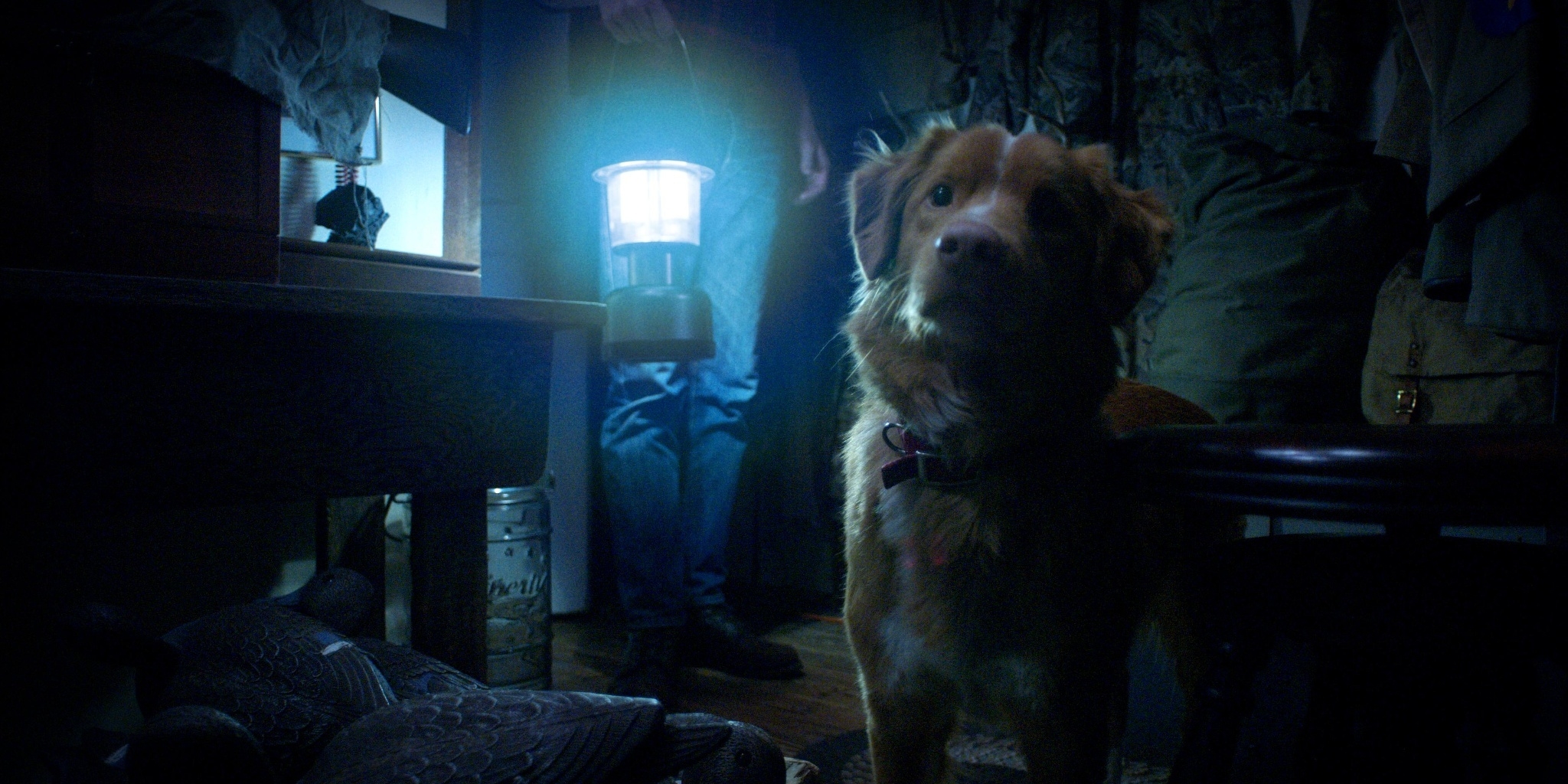 Good Boy — Super Ecran 2 08:50