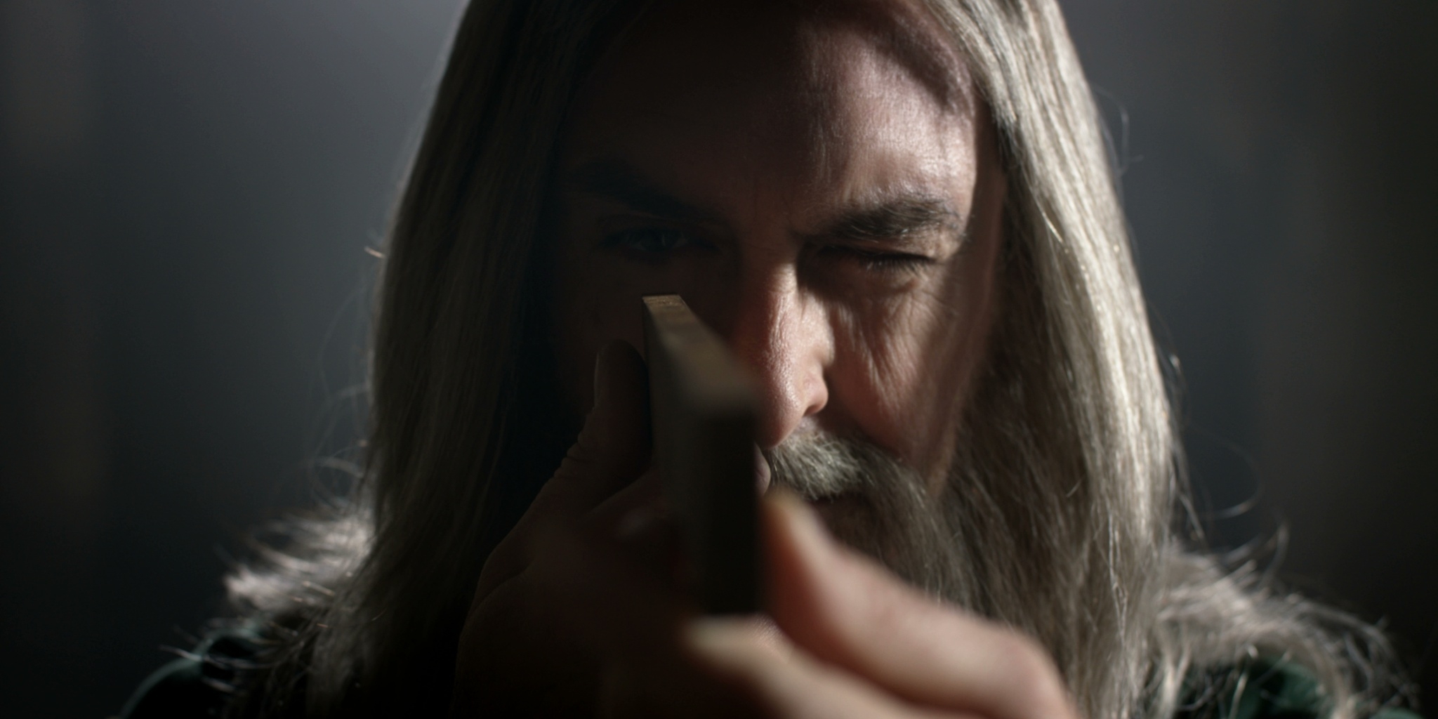 Léonard De Vinci, le portrait retrouvé