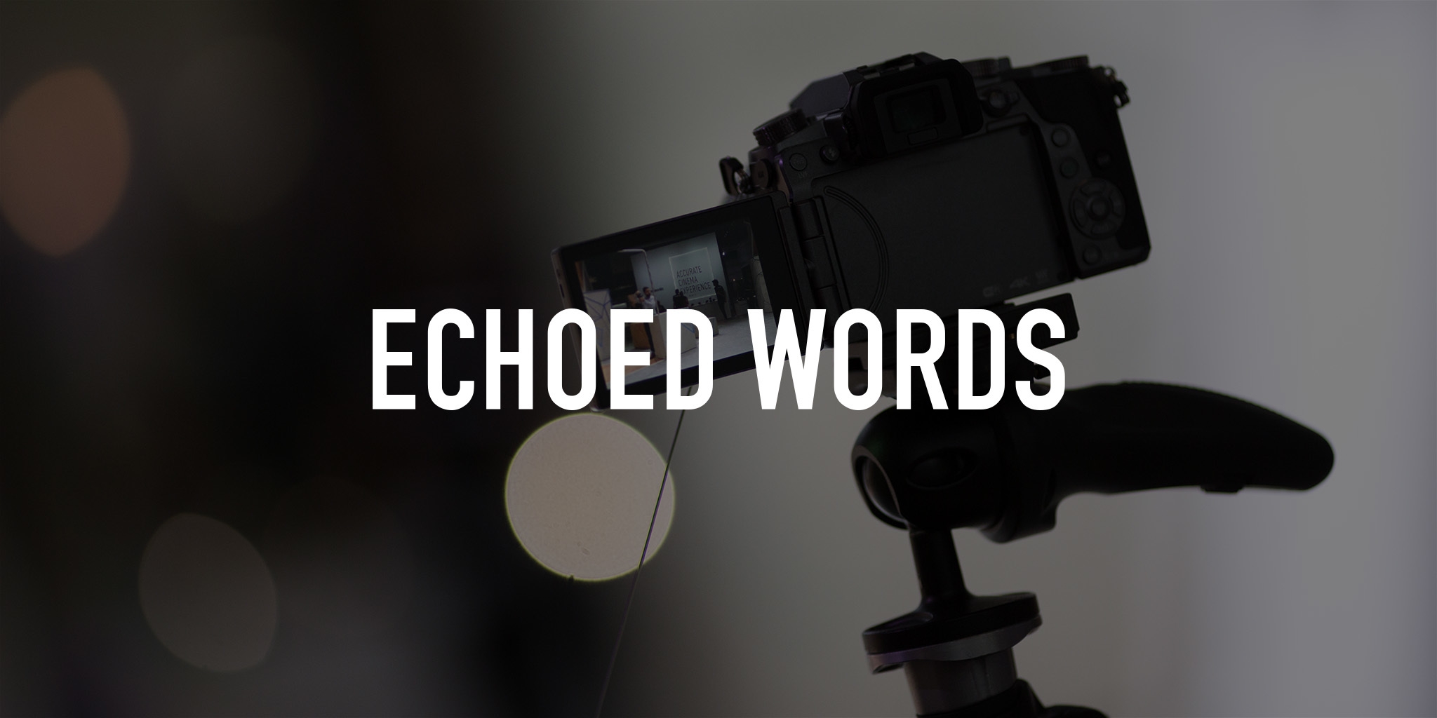 Echoed Words — AMITV 02:30