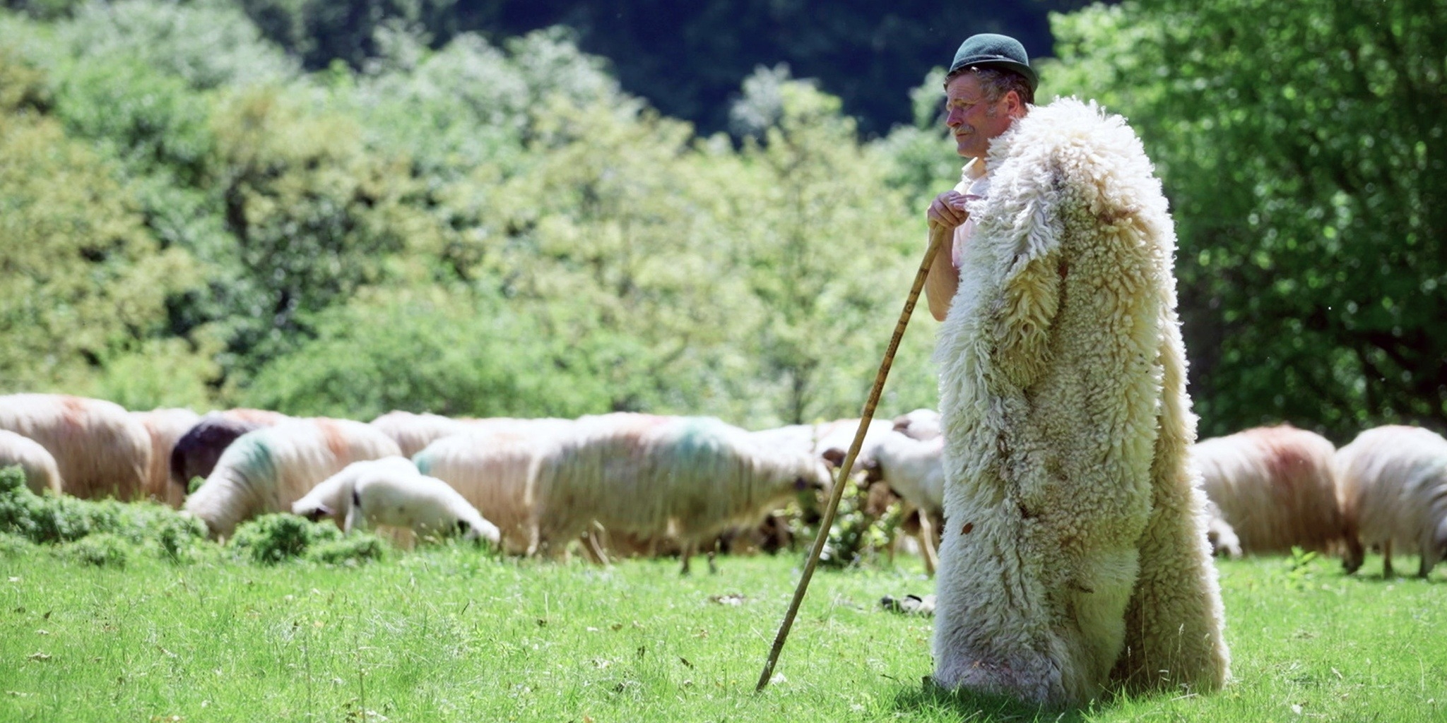 Corridors sauvages — Planete+ Canada 22:30