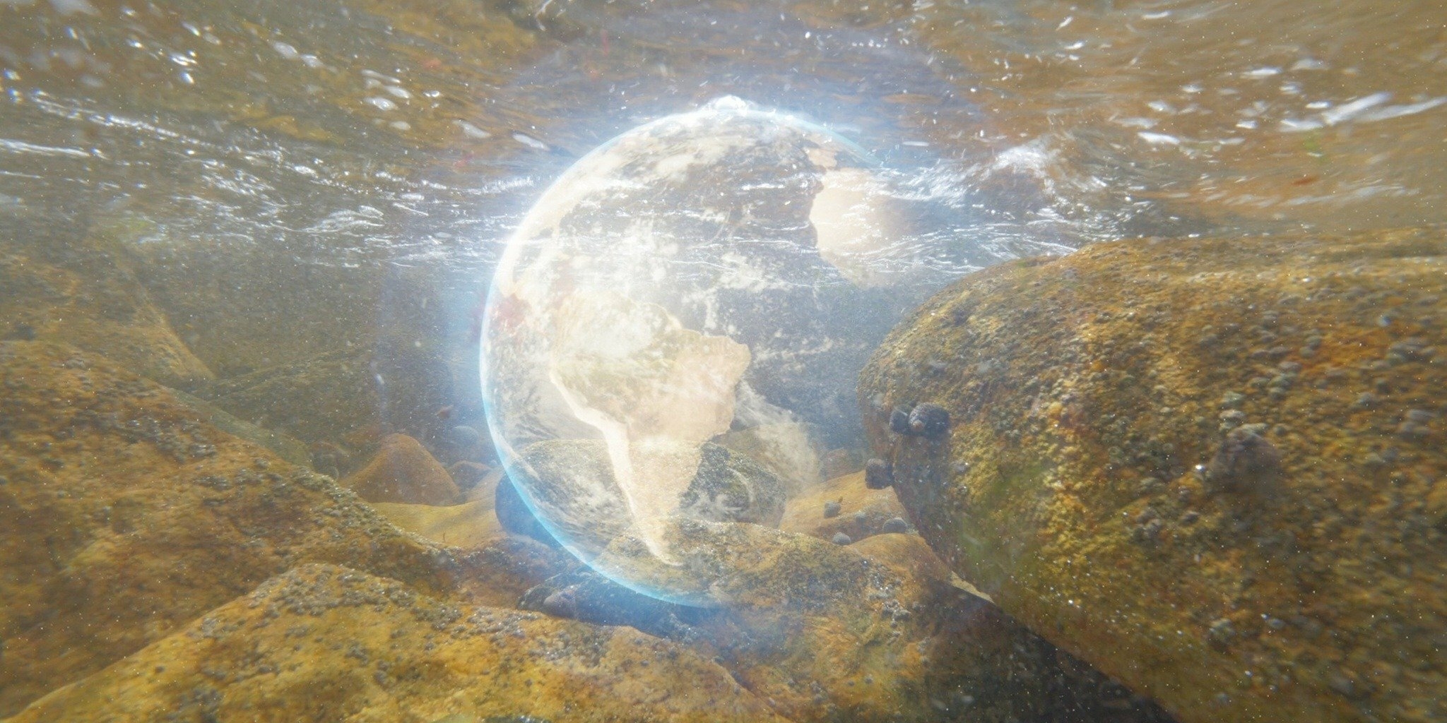 Terre, la vie cachée d'une planète